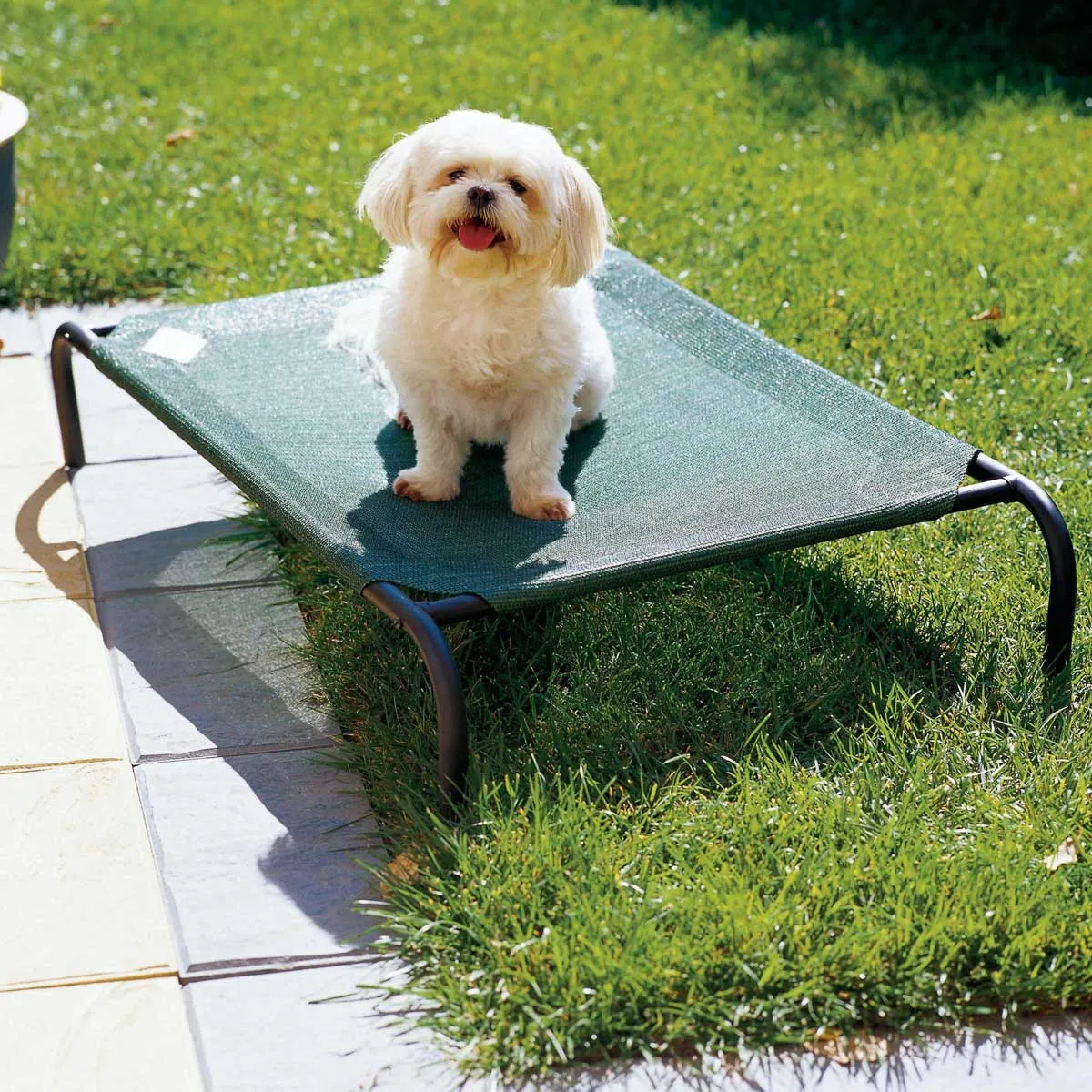 Coolaroo Raised Dog Beds Green (Large, X-Large)