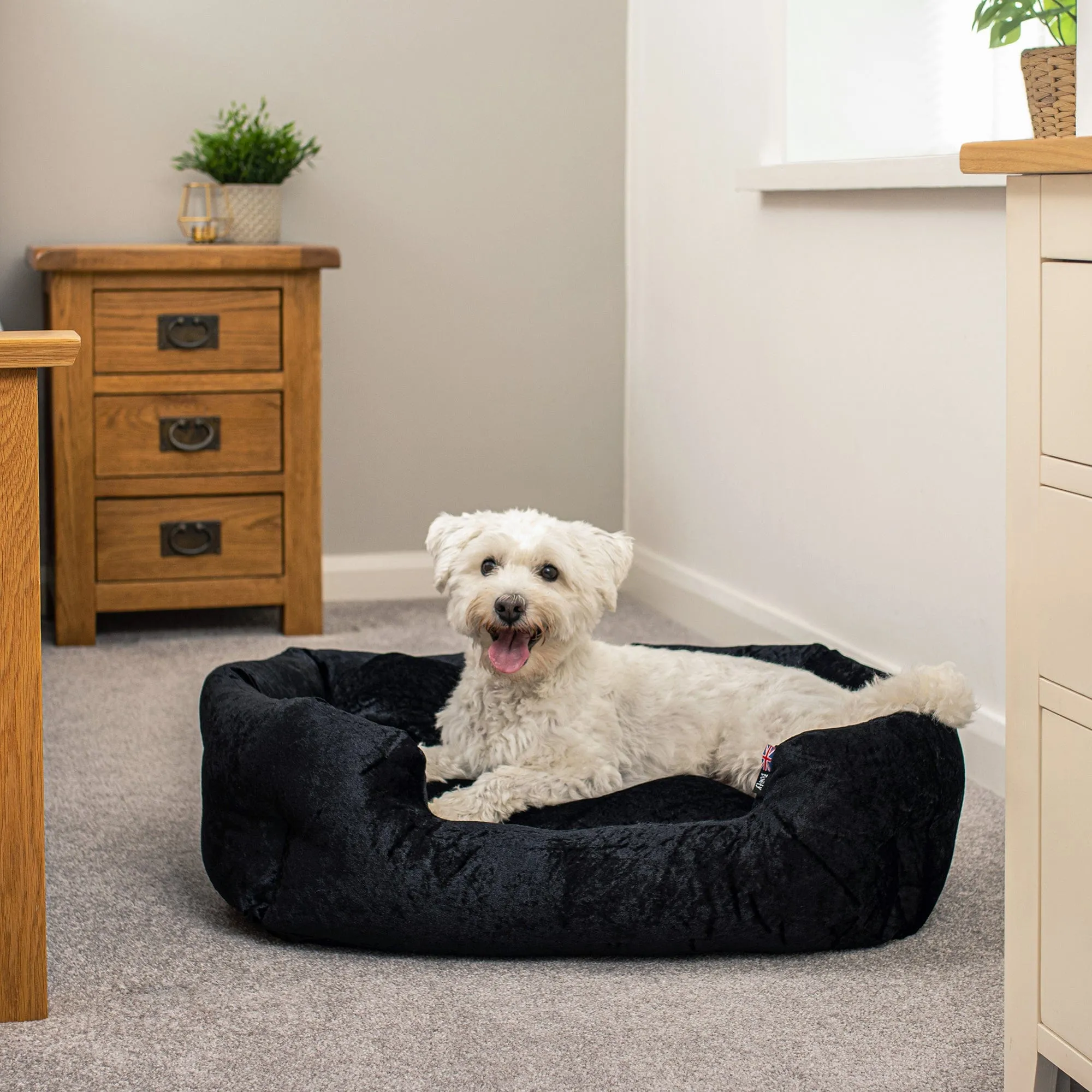 Crushed Velvet Dog Bed - Bunty Bellagio