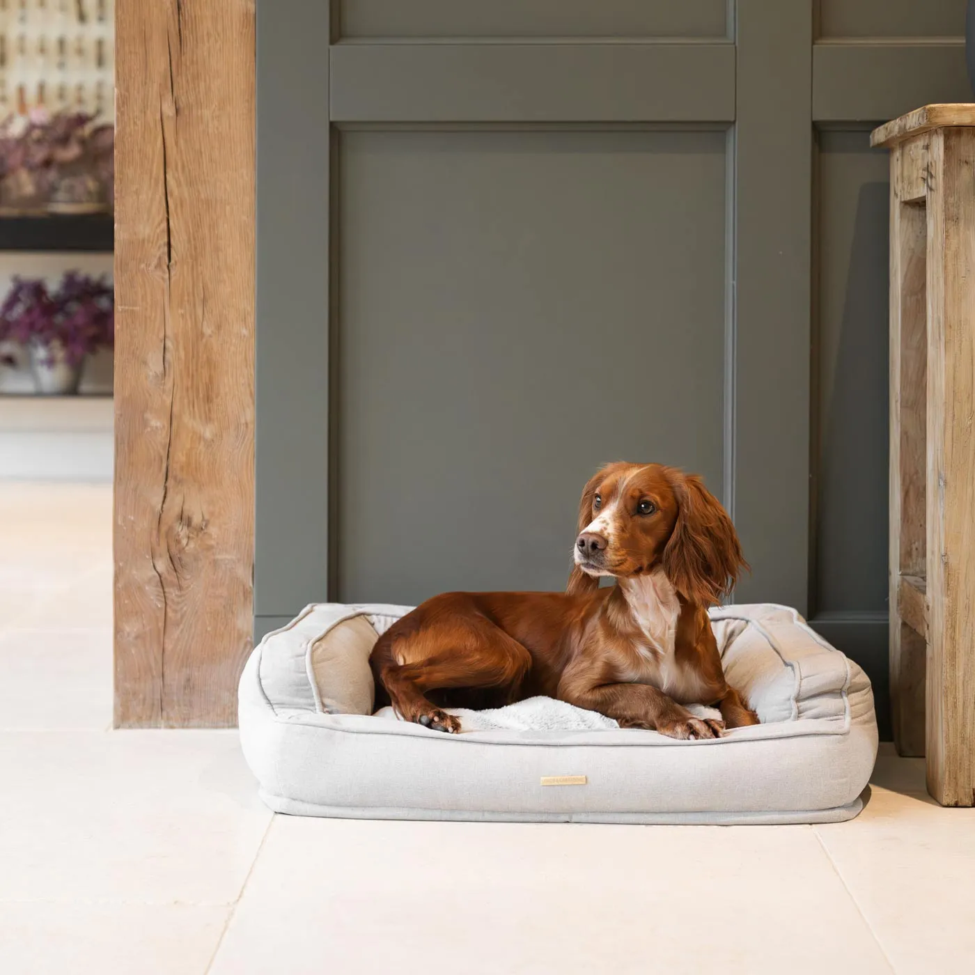 Deep Sleep Dog Bed in Alabaster by Lords & Labradors