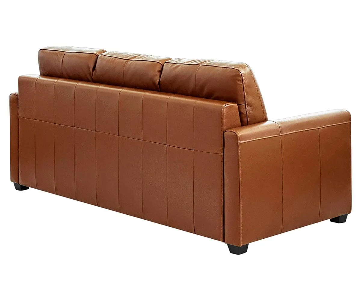 Jonas Leather Queen Sleeper Sofa