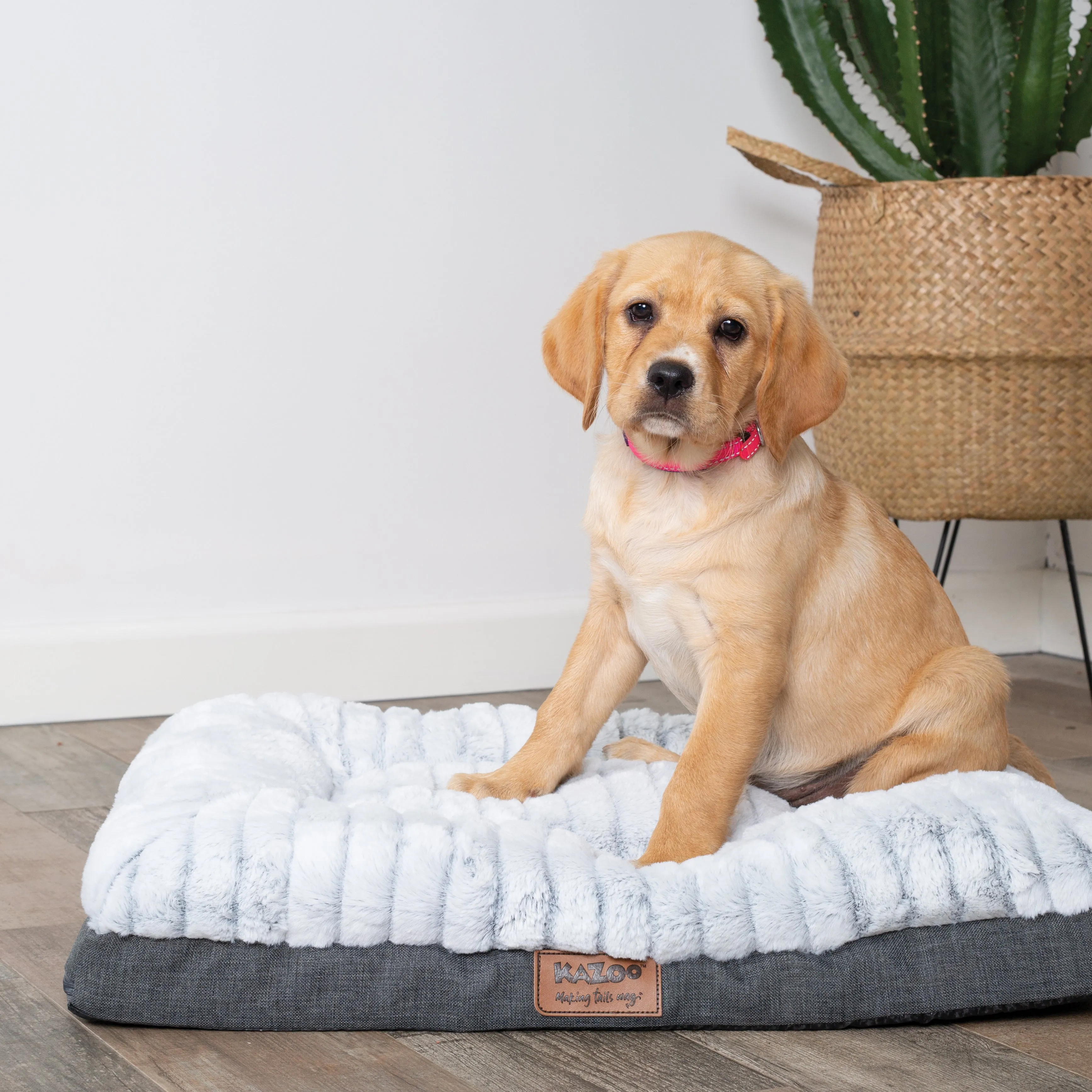 Kazoo Cloud Comfort Extra Large Grey Dog Bed