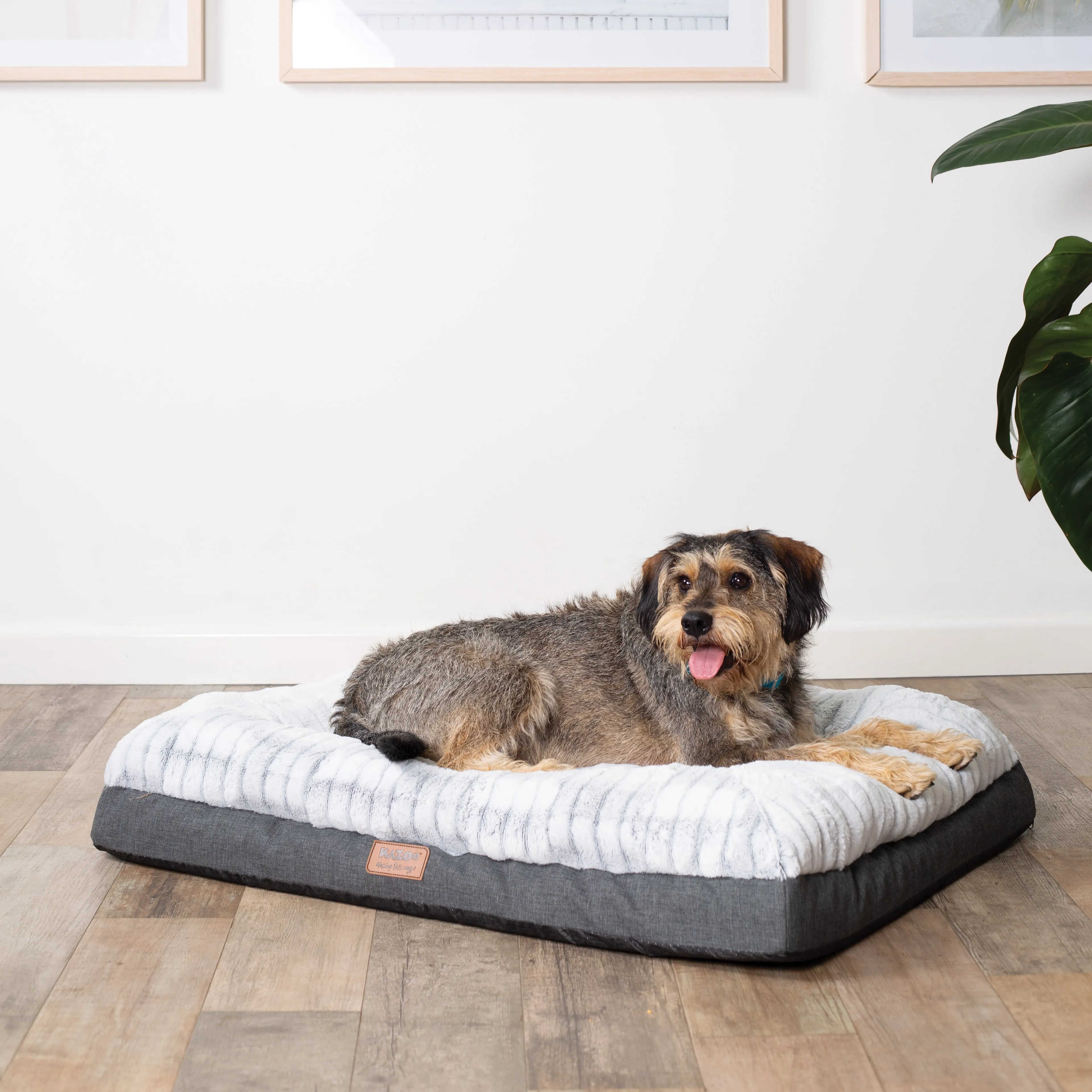 Kazoo Cloud Comfort Extra Large Grey Dog Bed