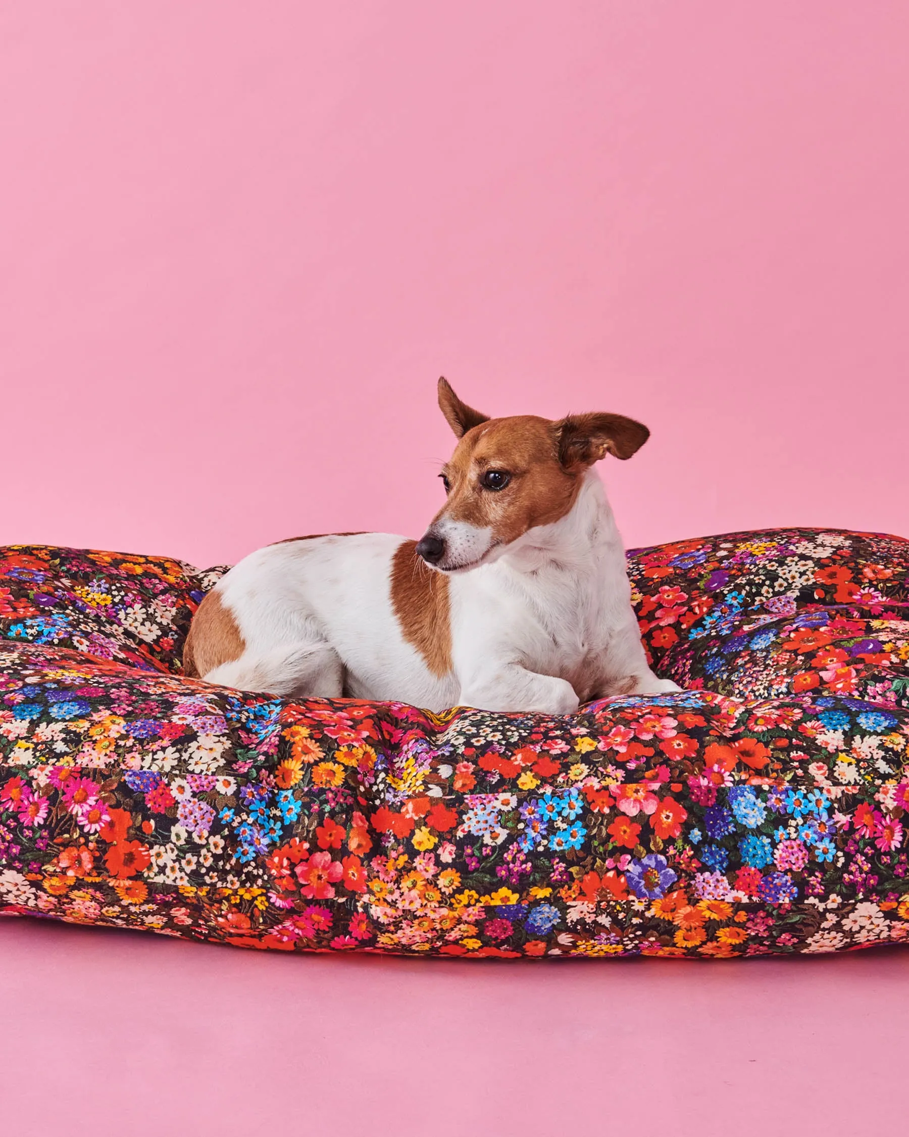 Kip & Co Forever Floral Black Dog Bed