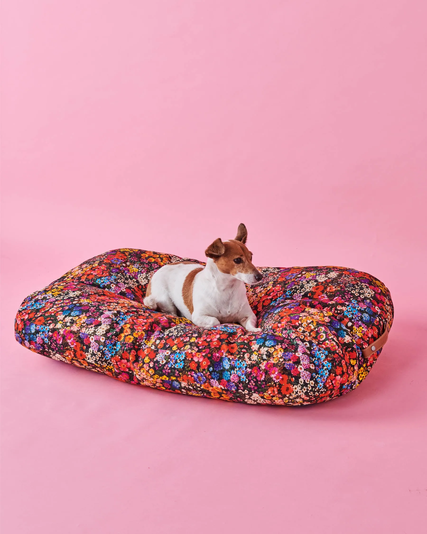 Kip & Co Forever Floral Black Dog Bed