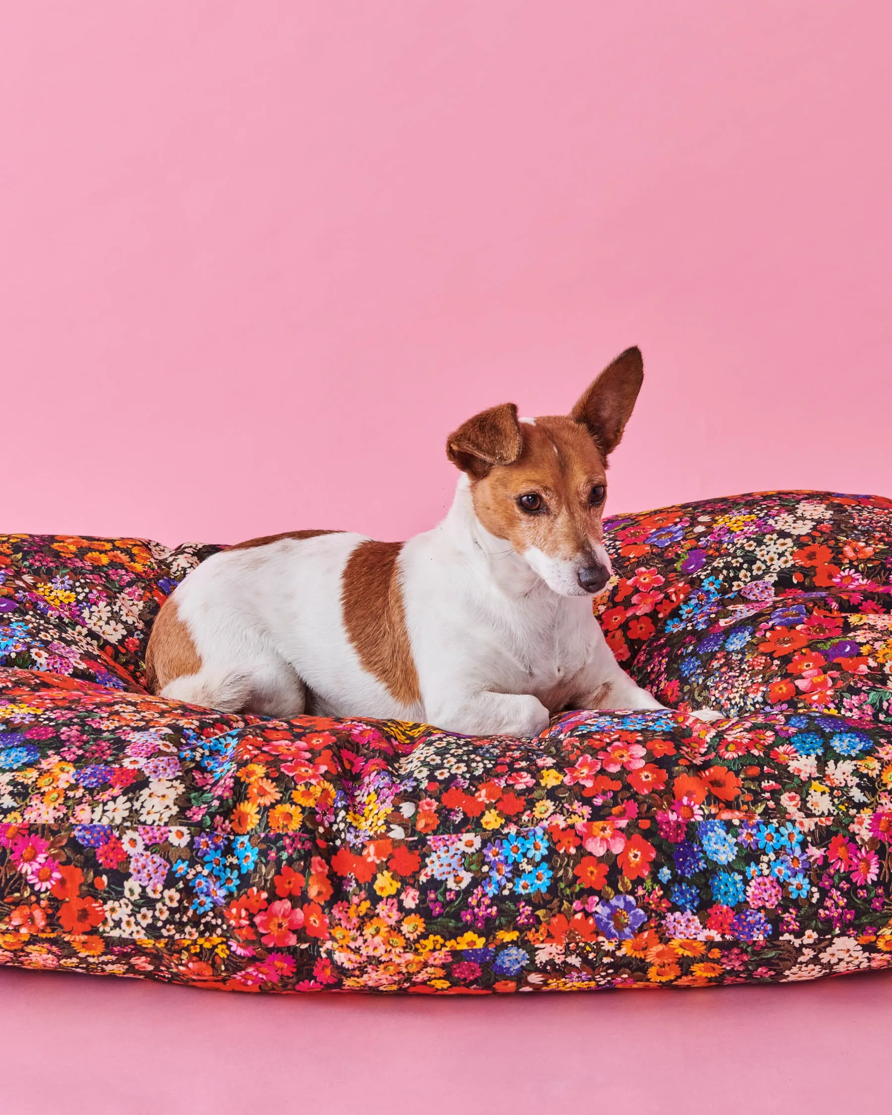 Kip & Co Forever Floral Black Dog Bed