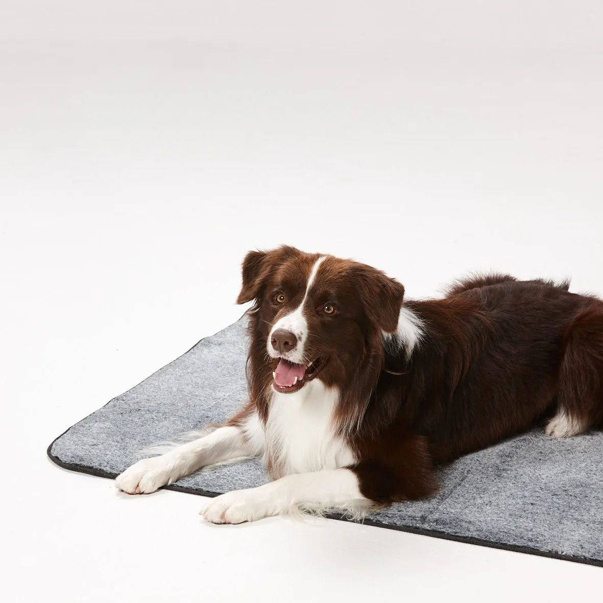 Snooza Dry Luxe Blanket