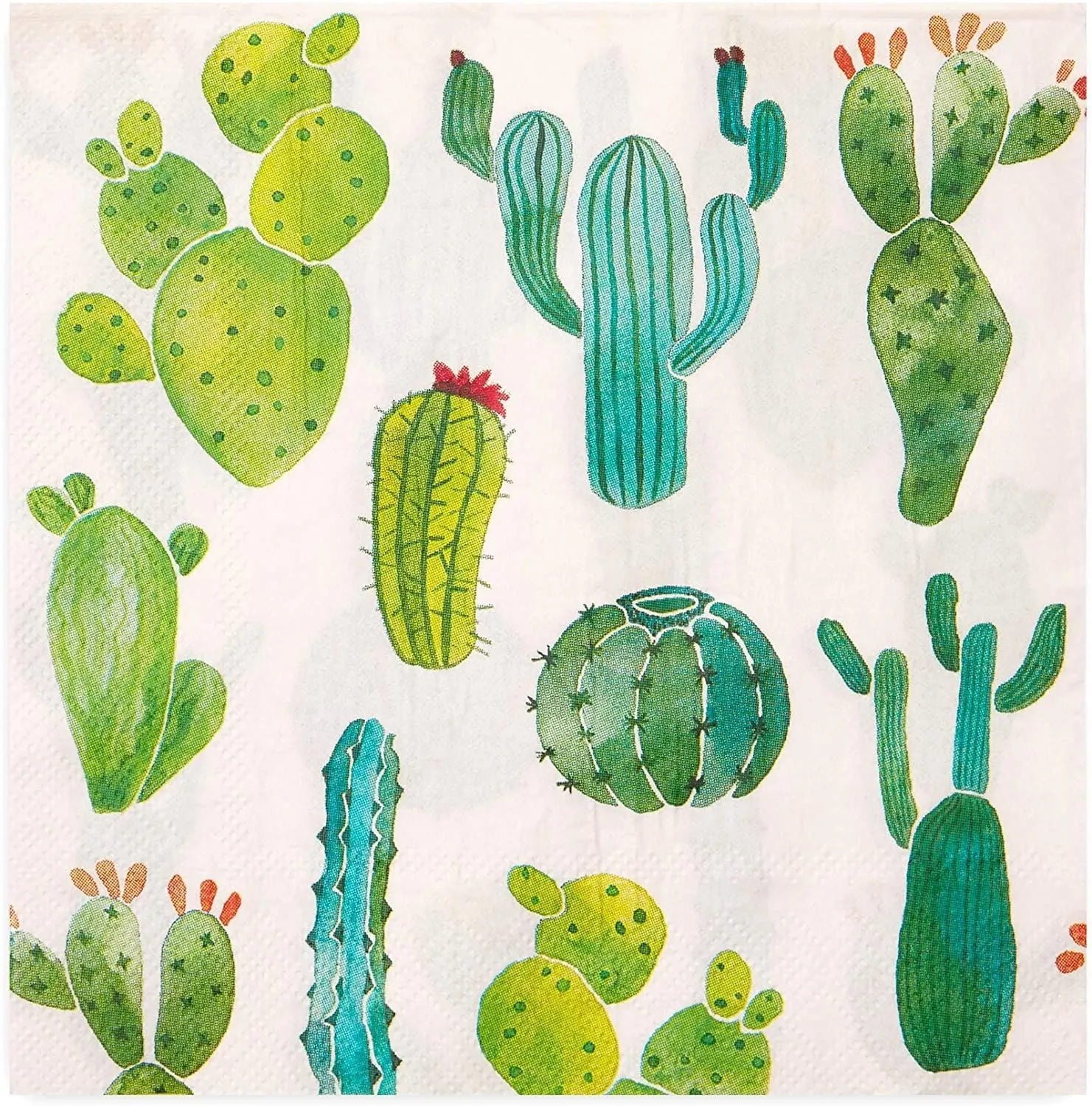 Succulent Cactus Paper Napkins for Fiesta Birthday Party (6.5 In, 100 Pack)